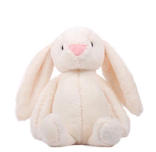 Load image into Gallery viewer, Plush Bunny Rabbit