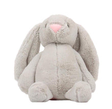 Load image into Gallery viewer, Plush Bunny Rabbit